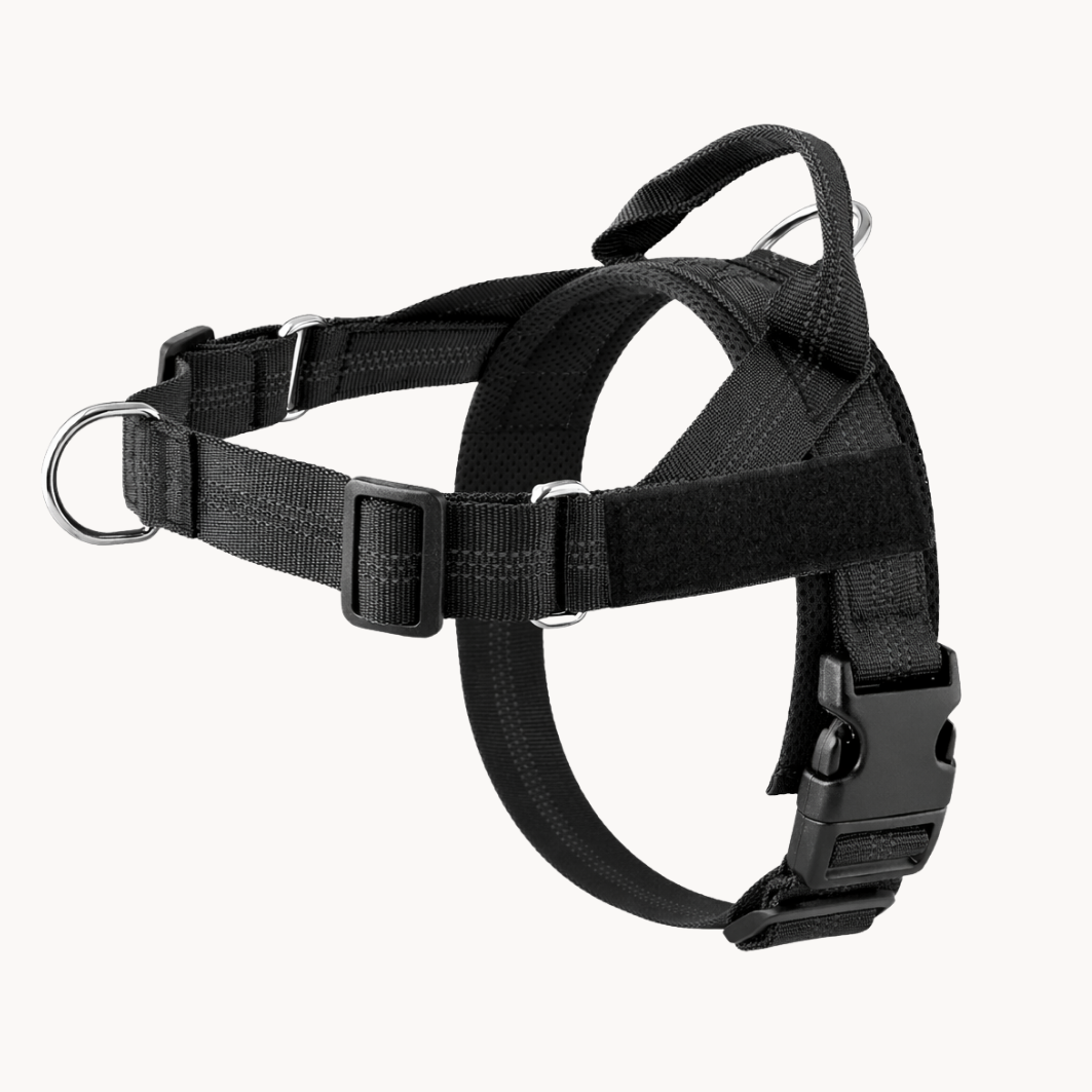 Packila Pettorina Anti-Tiro per Cani