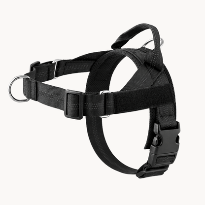 Packila Pettorina Anti-Tiro per Cani