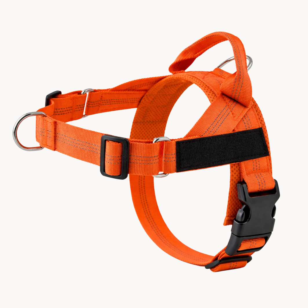 Packila Pettorina Anti-Tiro per Cani