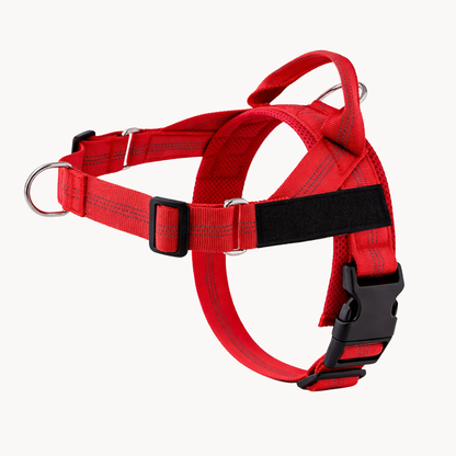 Packila Pettorina Anti-Tiro per Cani