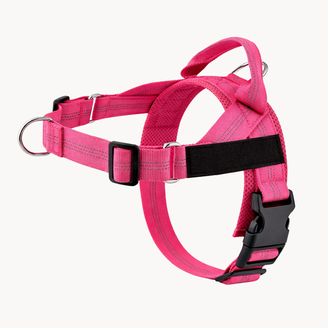 Packila Pettorina Anti-Tiro per Cani