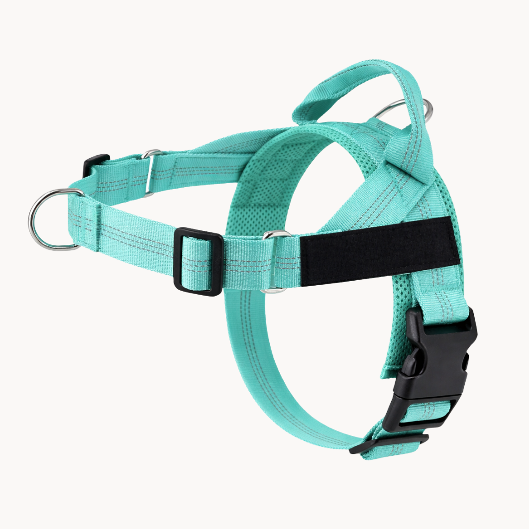 Packila Pettorina Anti-Tiro per Cani