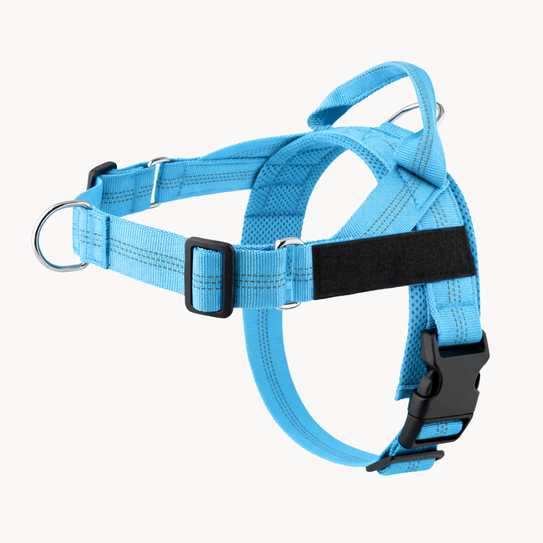 Packila Pettorina Anti-Tiro per Cani