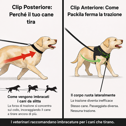 Packila Pettorina Anti-Tiro per Cani