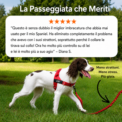 Packila Pettorina Anti-Tiro per Cani